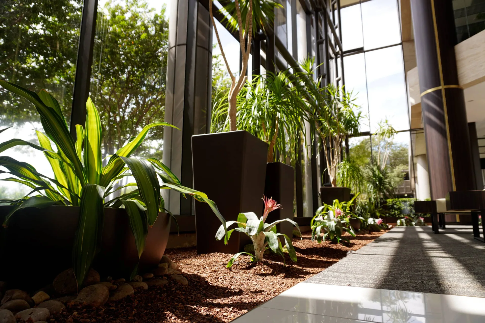 The plant-filled atrium lobby of the Stewart Title Building, the entrance to SA Cowork in San Antonio